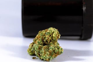 German Patients Choosing High-THC Cannabis: What It Means for Europe