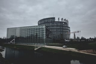 The Court That Won't Look: ECtHR's Cannabis Blind Spot Under Scrutiny