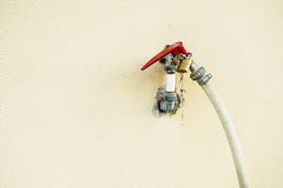 One Solenoid Valve, Zero Dry Days: A Home Grower's Guide to Auto-Irrigation