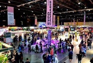 What a Buenos Aires Cannabis Expo Tells Us About Community