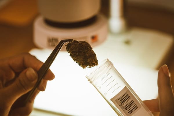 High-Potency Cannabis and Mental Health: What Europe's Research Means for Malta