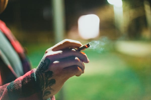 Cannabis Now the Most Common Daily Drug in America