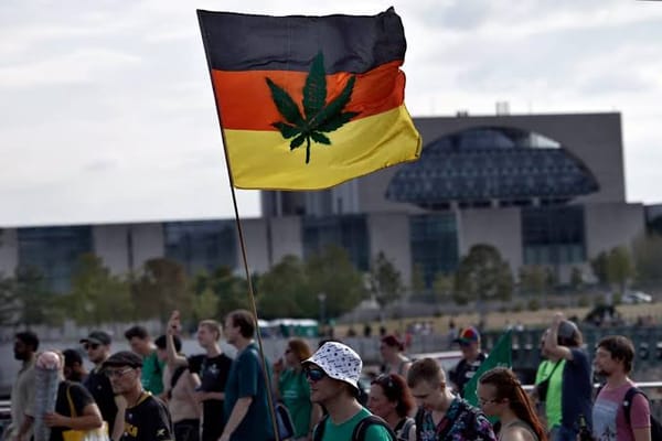 Germany Greenlights Four Cannabis Research Projects, Raising the Bar for EU Science
