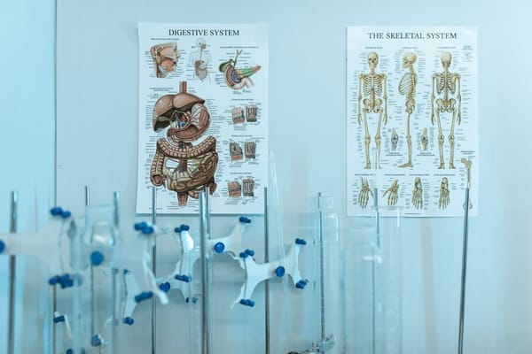 What Cannabis Actually Does to Your Gut