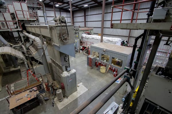 Hemp's Surplus Problem: Can Animal Feed Absorb the Overflow?