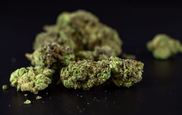 Old Hash, New Chemistry: What Happens to THC Over Time